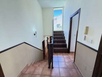 16203img2623