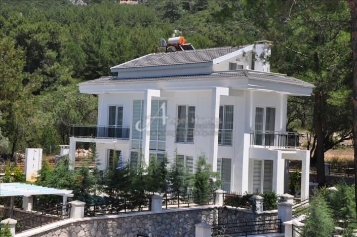 Image No.3-4 Bed Villa for sale