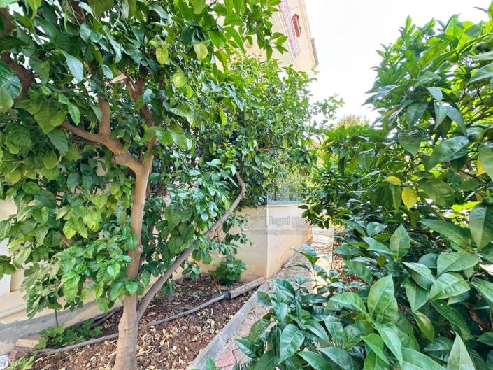 Image No.17-3 Bed Apartment for sale