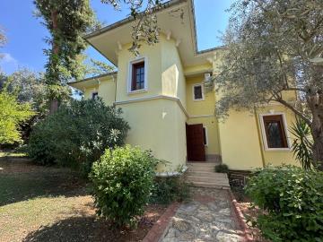 Olive-Grove-Ovacik-1--5-