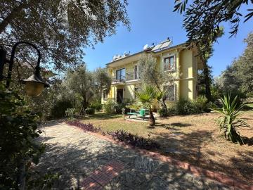 Olive-Grove-Ovacik-1--6-