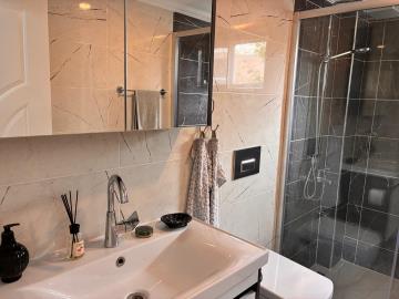 downstairs-bathroom-2