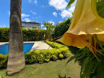 garden-pool