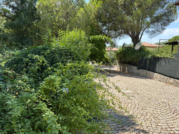 Image No.43-3 Bed Villa / Detached for sale