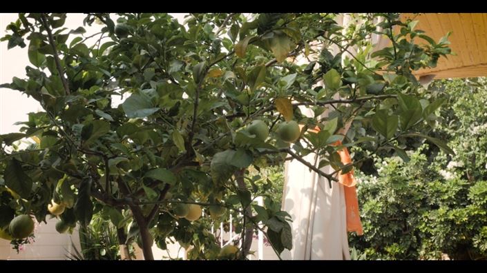 Image No.23-4 Bed House for sale