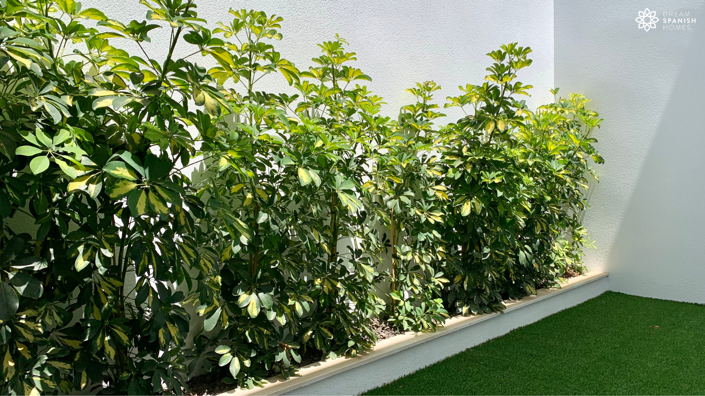 Image No.8-3 Bed House for sale