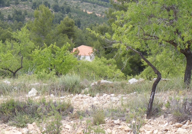 Image No.17-1 Bed Bungalow for sale