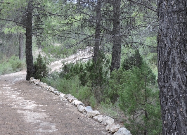 Image No.18-1 Bed Bungalow for sale