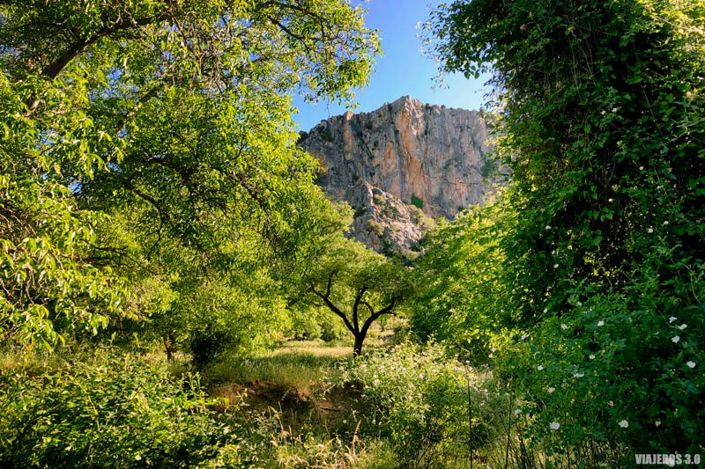 Image No.21-1 Bed Bungalow for sale