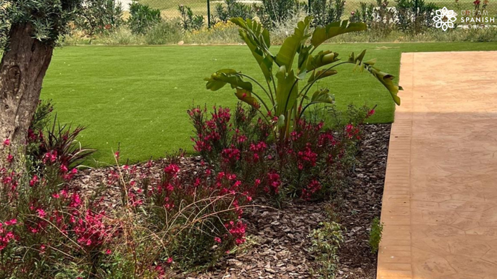 Image No.19-2 Bed Apartment for sale