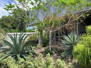 South-Coast-Sea-View-Property-Garden