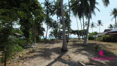 West-Coast-Beachfront-Land-Plot-Samui-Coconuts