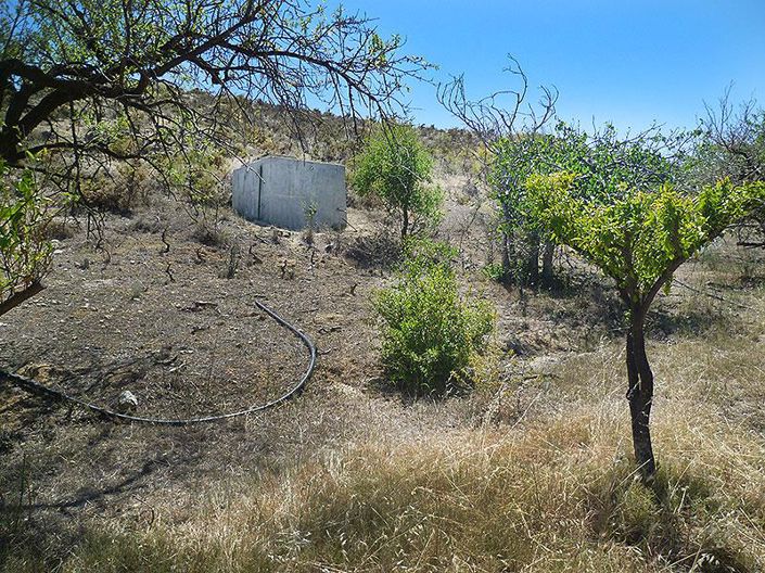 Image No.34-5 Bed Cortijo for sale