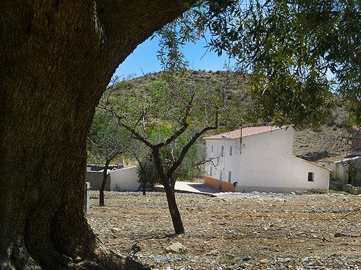 Image No.4-5 Bed Cortijo for sale
