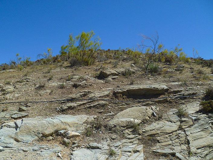 Image No.43-5 Bed Cortijo for sale