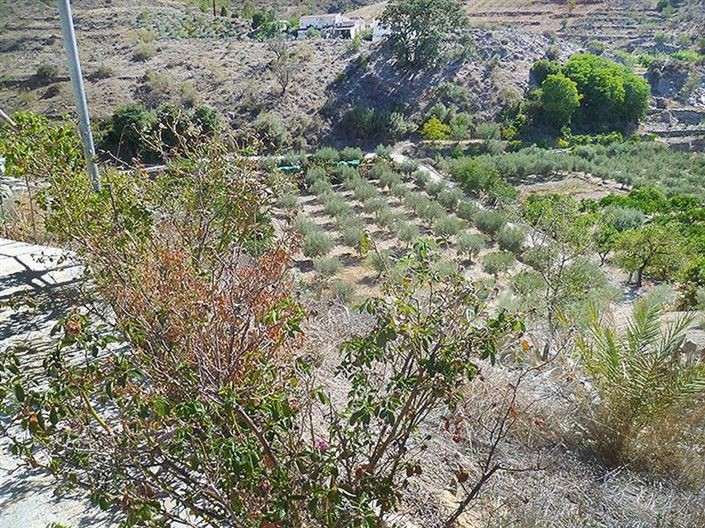 Image No.25-3 Bed Country House for sale