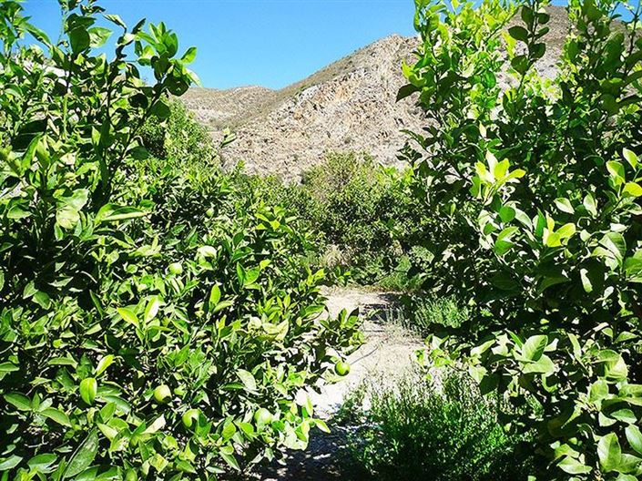 Image No.27-3 Bed Country House for sale