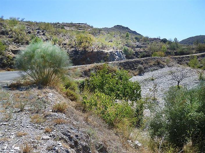 Image No.37-3 Bed Country House for sale