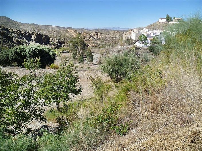 Image No.38-3 Bed Country House for sale