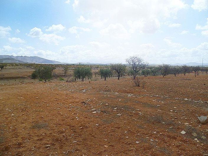 Image No.5-4 Bed Cortijo for sale