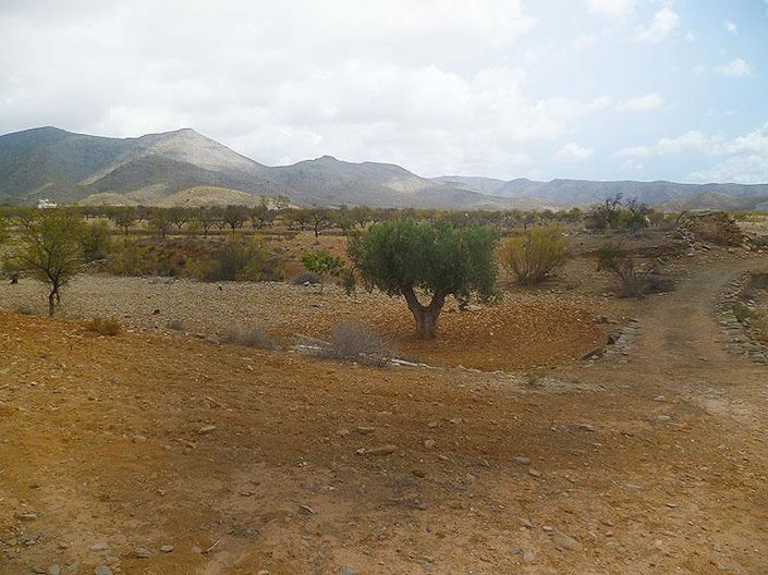 Image No.6-4 Bed Cortijo for sale