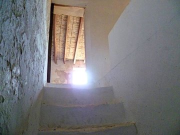6746384515