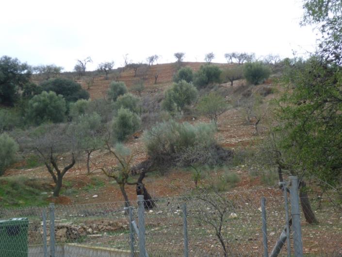 Image No.23-4 Bed Cortijo for sale