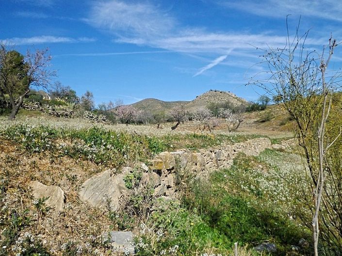 Image No.2-Land for sale