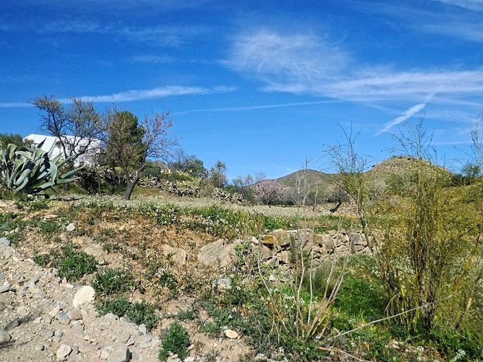 Image No.5-Land for sale