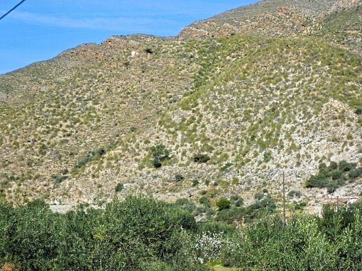 Image No.6-Terre à vendre à Lubrín