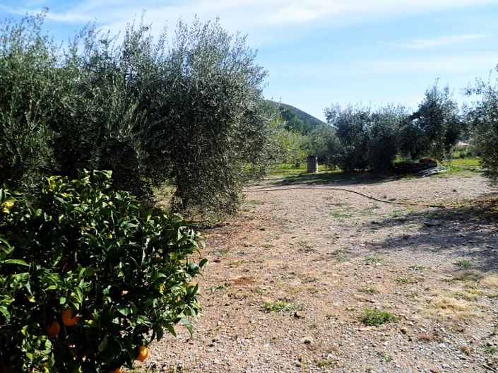 Image No.1-Land for sale