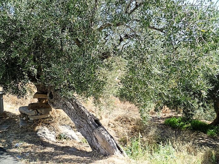 Image No.27-Maison de ville de 6 chambres à vendre à Lubrín