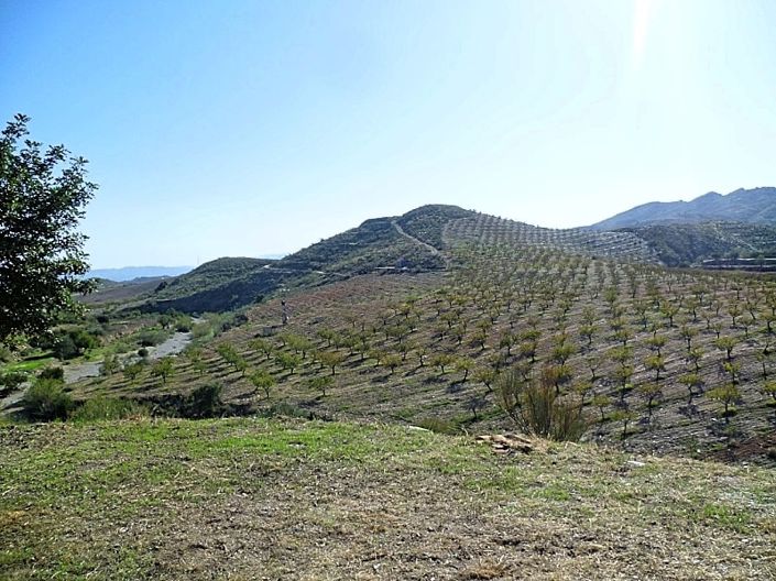 Image No.5-Cortijo de 4 chambres à vendre à Sorbas