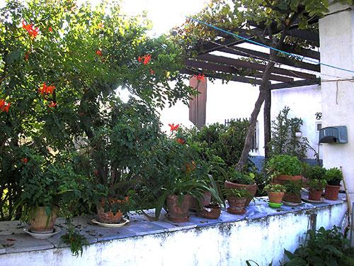 Image No.10-8 Bed Cortijo for sale