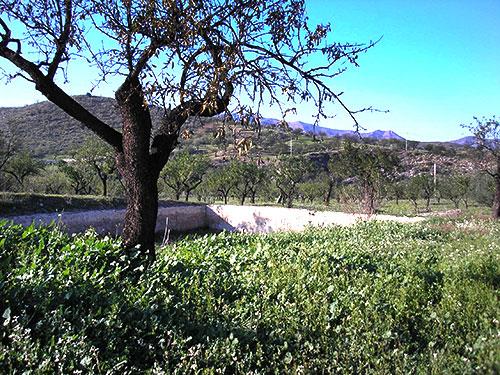 Image No.12-8 Bed Cortijo for sale