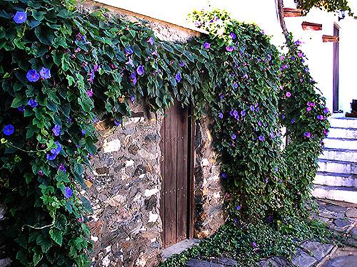 Image No.16-8 Bed Cortijo for sale