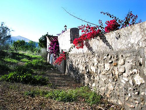 Image No.17-8 Bed Cortijo for sale