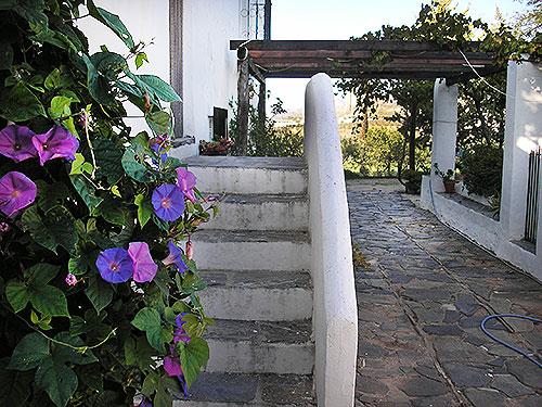 Image No.25-8 Bed Cortijo for sale