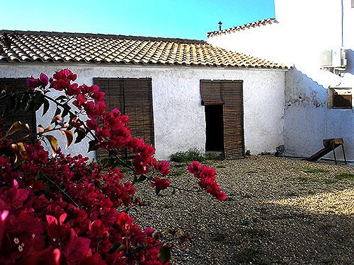 Image No.29-8 Bed Cortijo for sale