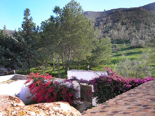 Image No.34-8 Bed Cortijo for sale