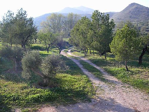 Image No.37-8 Bed Cortijo for sale