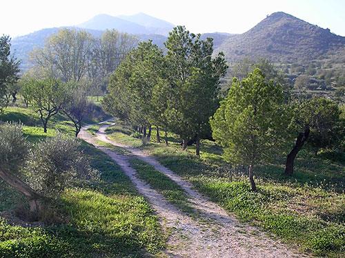 Image No.4-8 Bed Cortijo for sale