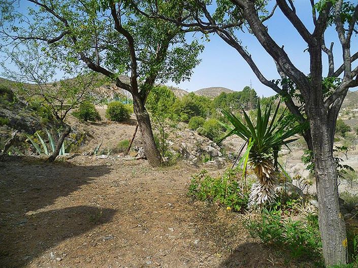 Image No.10-3 Bed Cortijo for sale