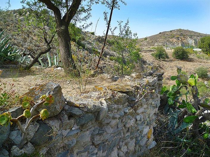 Image No.7-3 Bed Cortijo for sale