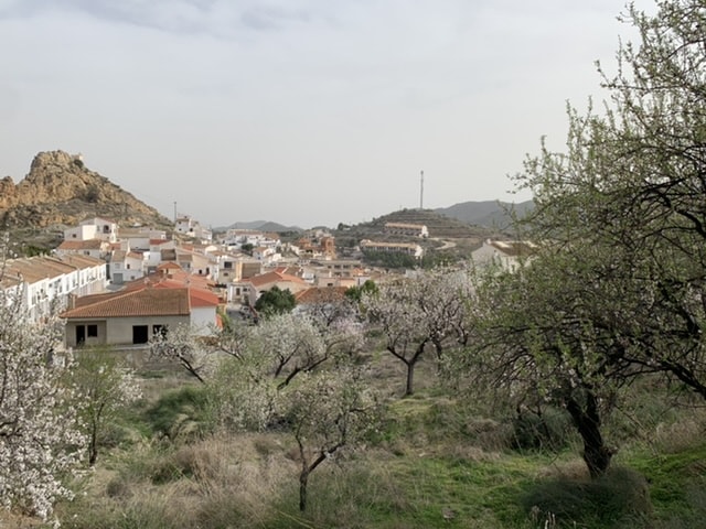 Image No.12-5 Bed Village House for sale