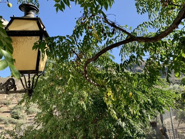 Image No.2-4 Bed Country House for sale