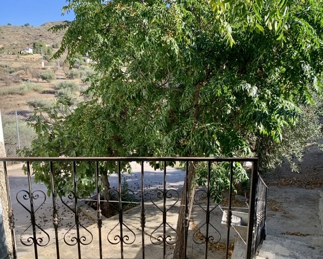 Image No.3-4 Bed Country House for sale