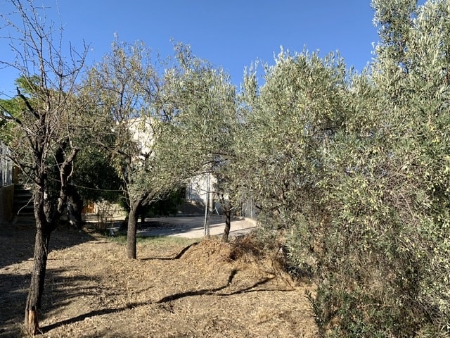 Image No.6-4 Bed Country House for sale