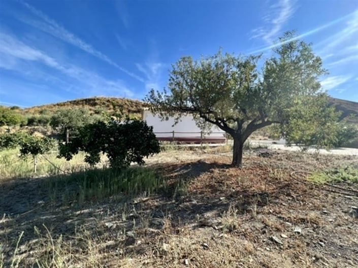 Property for sale in Lubrín 123 properties A Place in the Sun