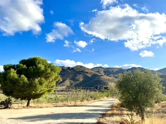 Image No.35-6 Bed Country House for sale